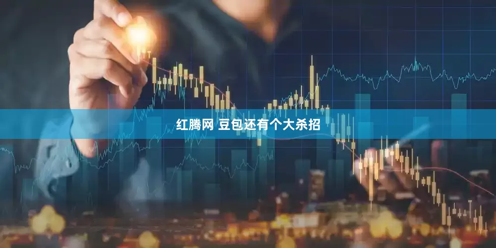 红腾网 豆包还有个大杀招